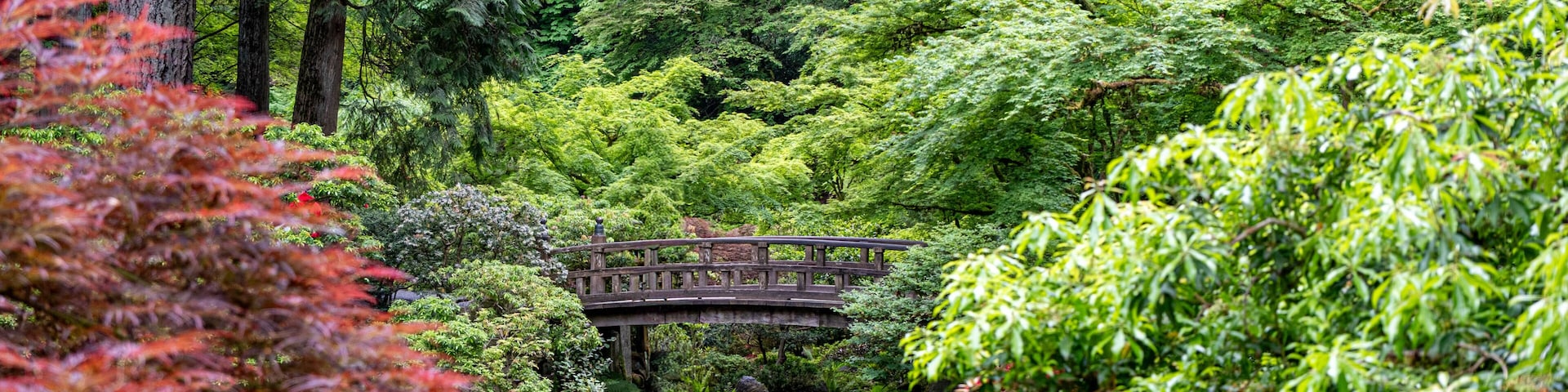 Moon Bridge and Strolling Pond Garden at the Portland Japanese Garden