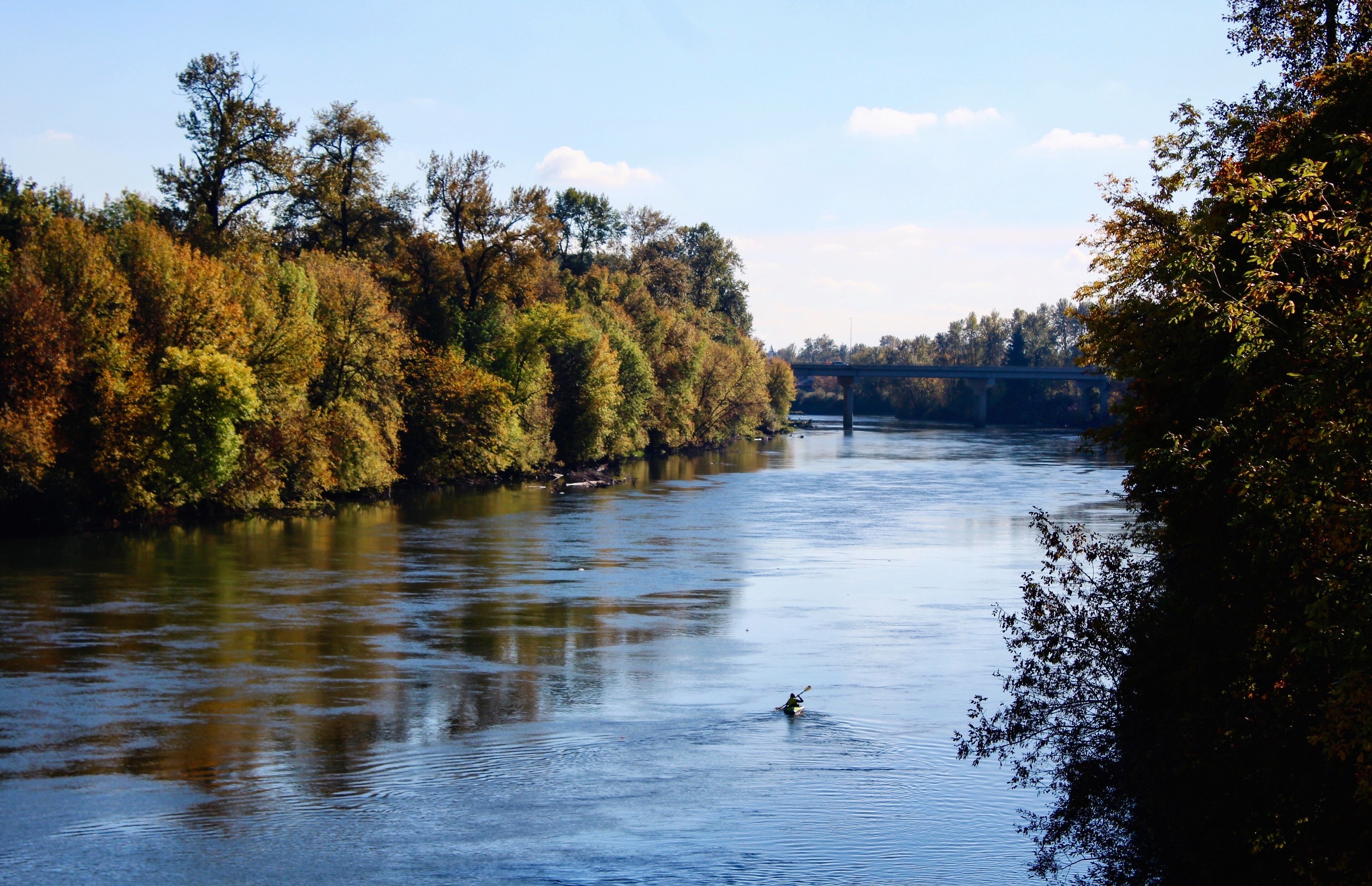 Kayaker paddles it's way up the Willamette River in Oregon during a sunny fall afternoon with colorful leaves reflecting off the calm water 