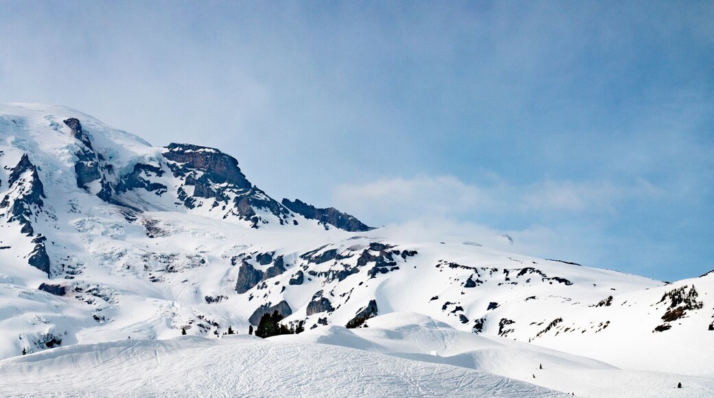 Mount Rainier Panoramic View - Snowy Mountain Washington State Cascade Range
