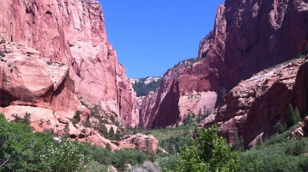 More of the canyon view