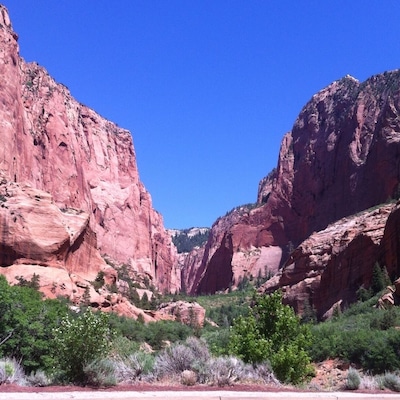 A canyon with red rock cliffs and green vegetation.