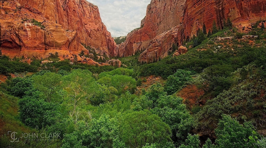 Heading home from Bryce Canyon this weekend, I made a quick and unplanned stop to see the Kolob Canyon section of Zion National Park. A 5-mile paved road winds up the canyon providing beautiful vistas of the red rocks and greenery. Next time I need to devote more time and explore some of the hiking trails!
#utah #Zion #nationalparks #nps