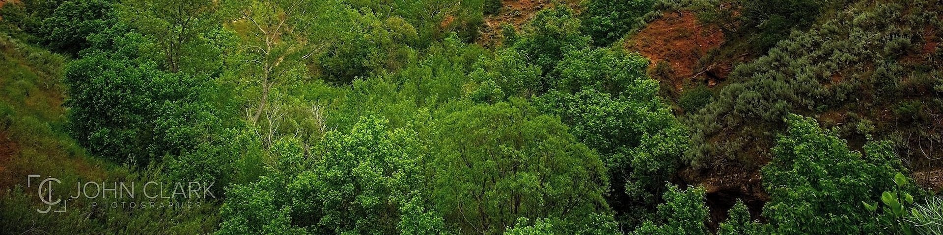 Heading home from Bryce Canyon this weekend, I made a quick and unplanned stop to see the Kolob Canyon section of Zion National Park. A 5-mile paved road winds up the canyon providing beautiful vistas of the red rocks and greenery. Next time I need to devote more time and explore some of the hiking trails!
#utah #Zion #nationalparks #nps