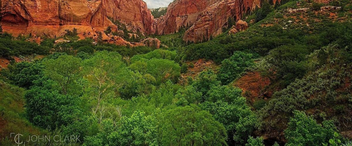 A canyon with red rock walls and green vegetation.