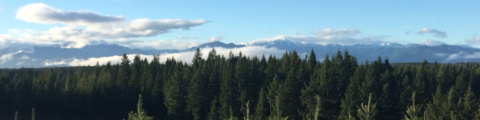 This is my favorite place to get a Christmas tree. Everyone is nice and the view is beautiful.