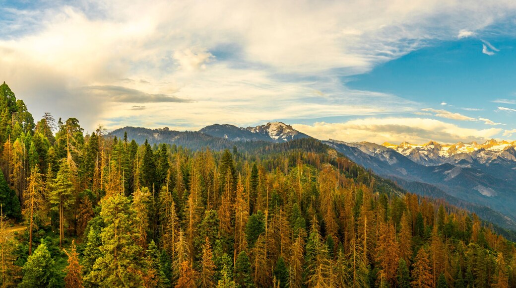 Sequoia National Park in the southern Sierra Nevada east of Visalia, California