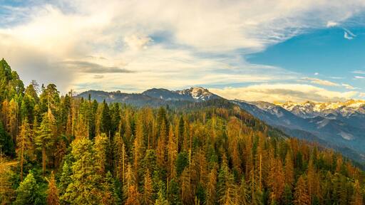 Sequoia National Park in the southern Sierra Nevada east of Visalia, California