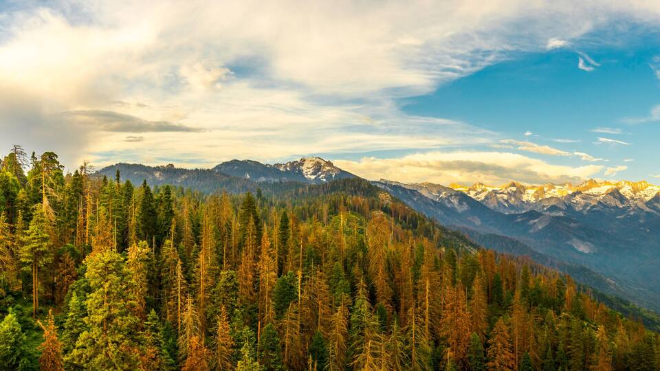 A mountain range with snow-capped peaks, dense forests, and a clear sky.