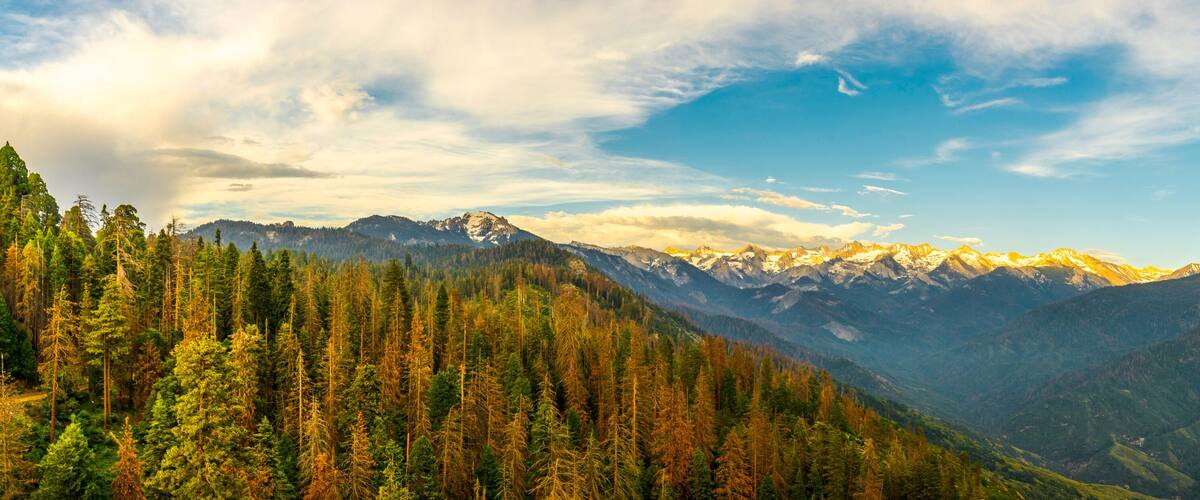A mountain range with snow-capped peaks, dense forests, and a clear sky.