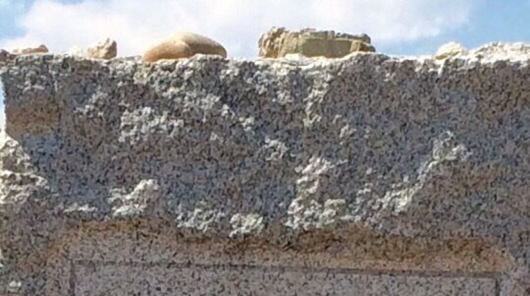 Shoshone woman who helped the Lewis and Clark Expedition achieve each of its chartered mission objectives exploring the Louisiana Purchase. With the expedition, between 1804 and 1806, she traveled thousands of miles from North Dakota to the Pacific Ocean, established cultural contacts with Native American populations, and researched natural history....