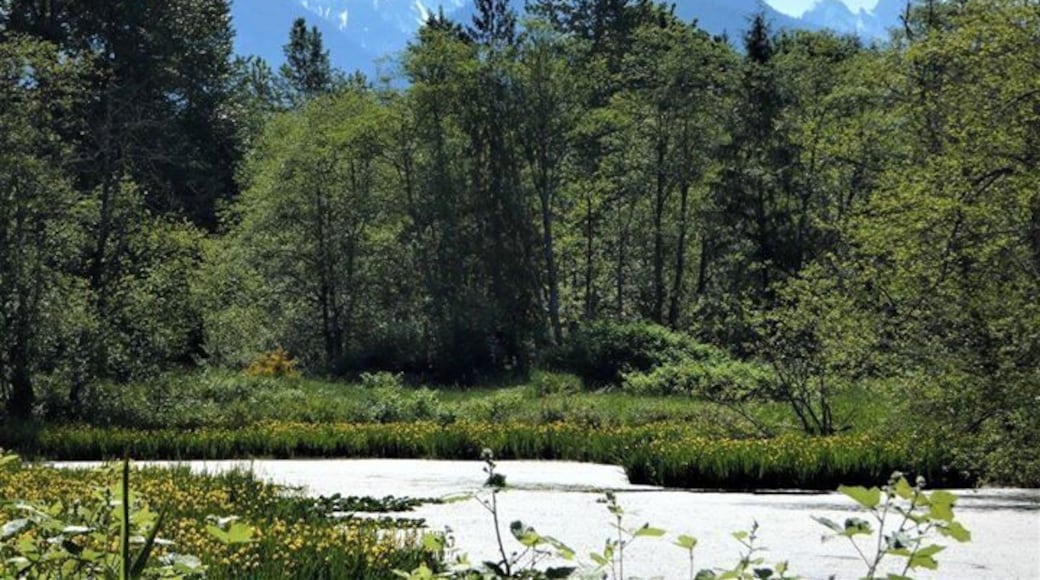 Beautiful views as we hiked the Whitehorse Trail, a 27 mi trail along the historic rail link between Arlington and Darrington.