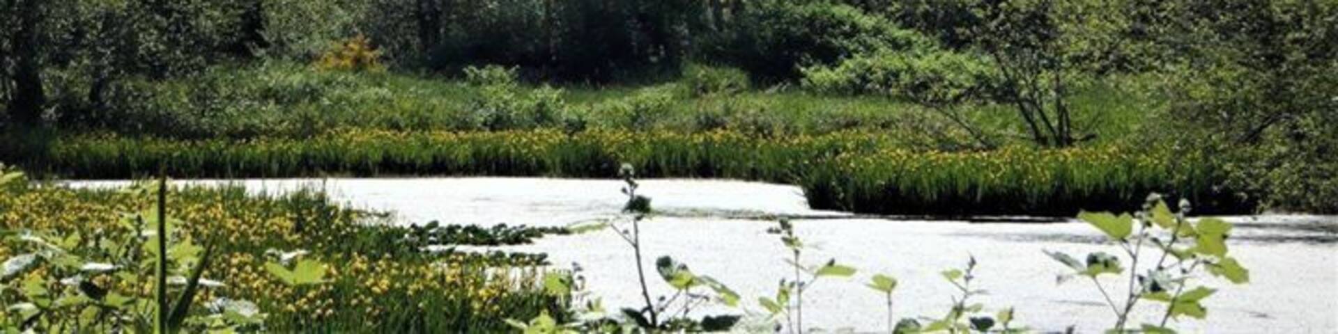 Beautiful views as we hiked the Whitehorse Trail, a 27 mi trail along the historic rail link between Arlington and Darrington.