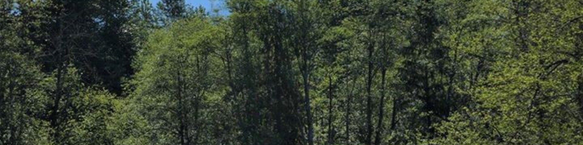 Beautiful views as we hiked the Whitehorse Trail, a 27 mi trail along the historic rail link between Arlington and Darrington.