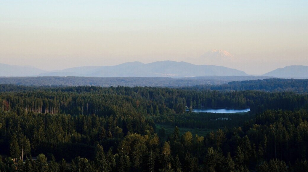 We enjoyed a hot air balloon ride over Woodinville, WA after our wedding.