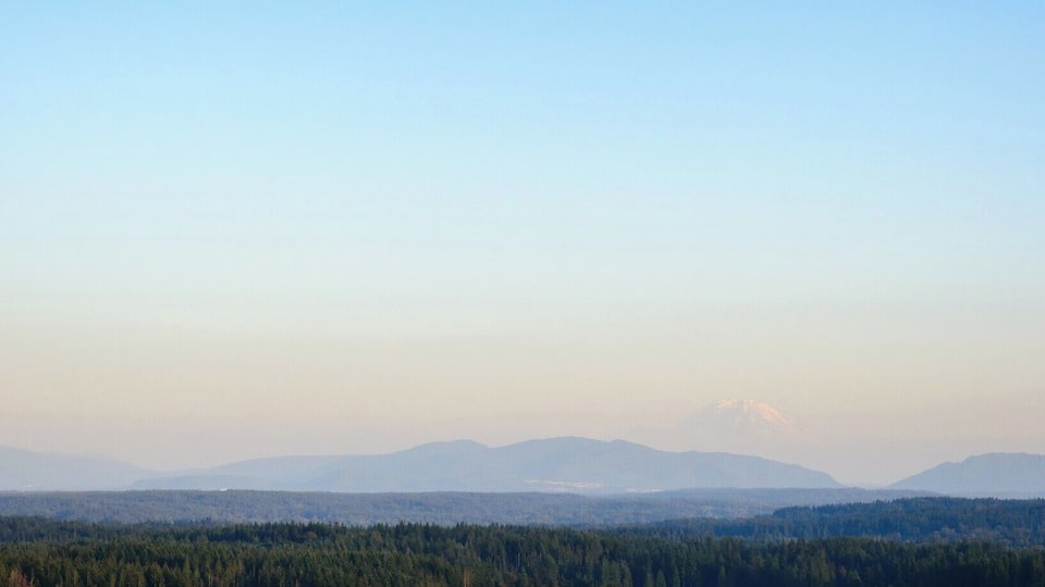 We enjoyed a hot air balloon ride over Woodinville, WA after our wedding.