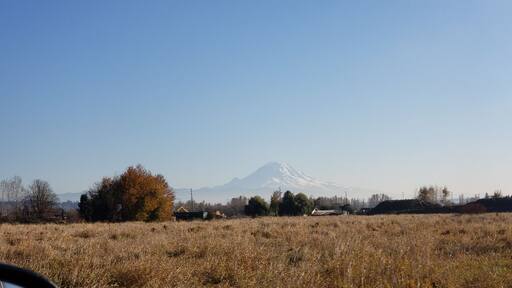 A bike ride on an early autumn afternoon with my future son-in-law brought us to this breathtaking vista of the majestic Mount Rainier #Trovember