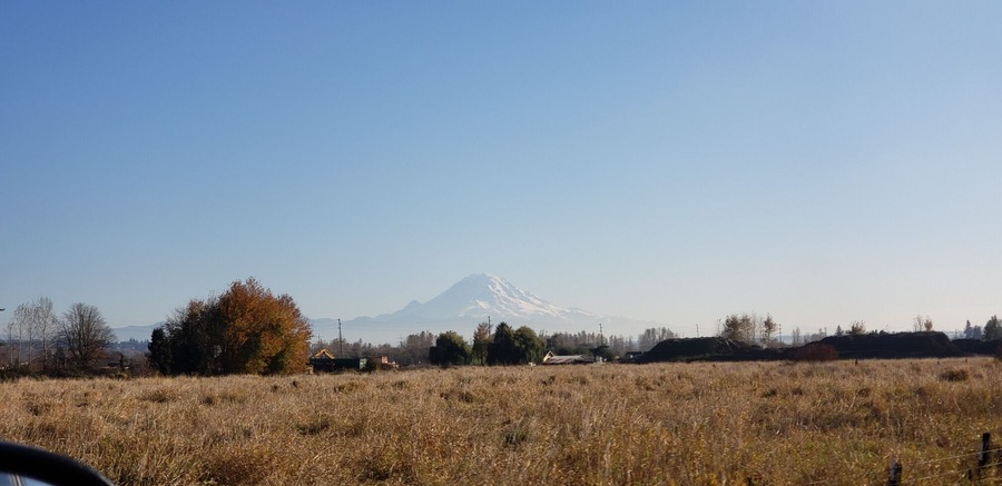 A bike ride on an early autumn afternoon with my future son-in-law brought us to this breathtaking vista of the majestic Mount Rainier #Trovember