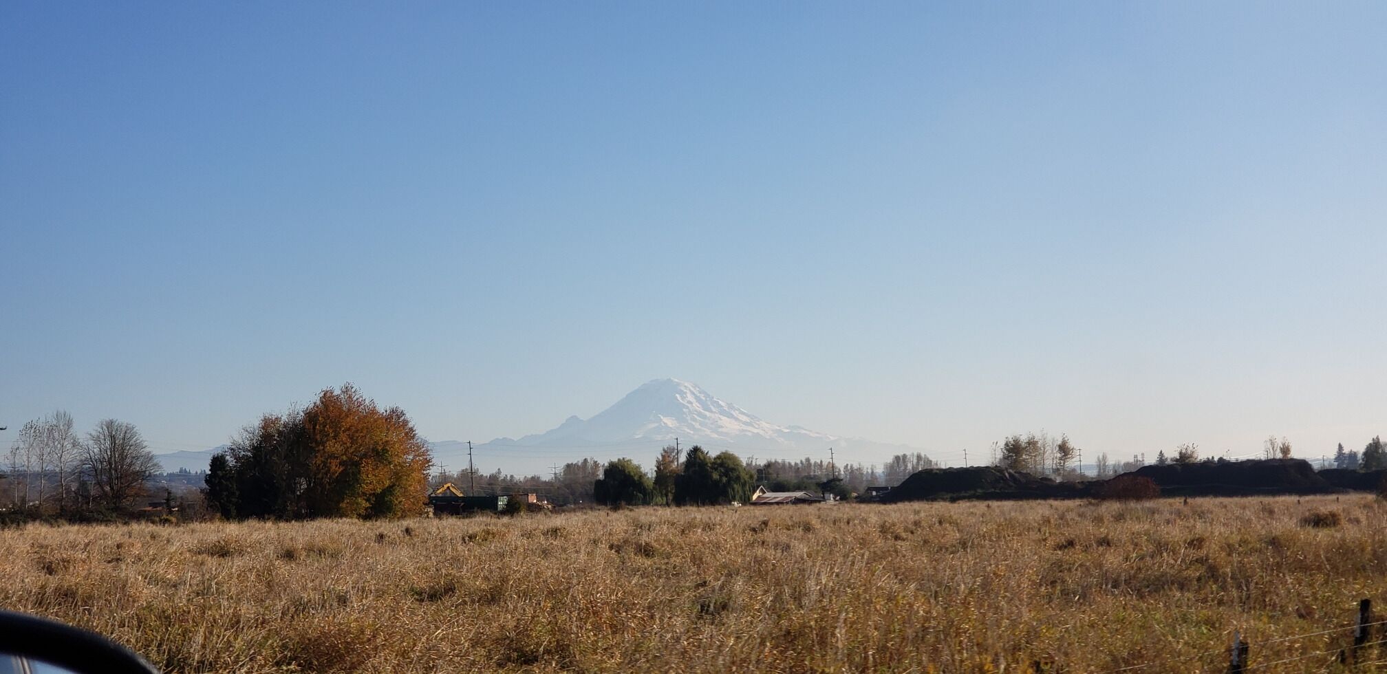 A field with a mountain in the background.