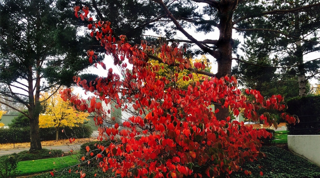 Outside corporate headquarters a couple of weeks ago.