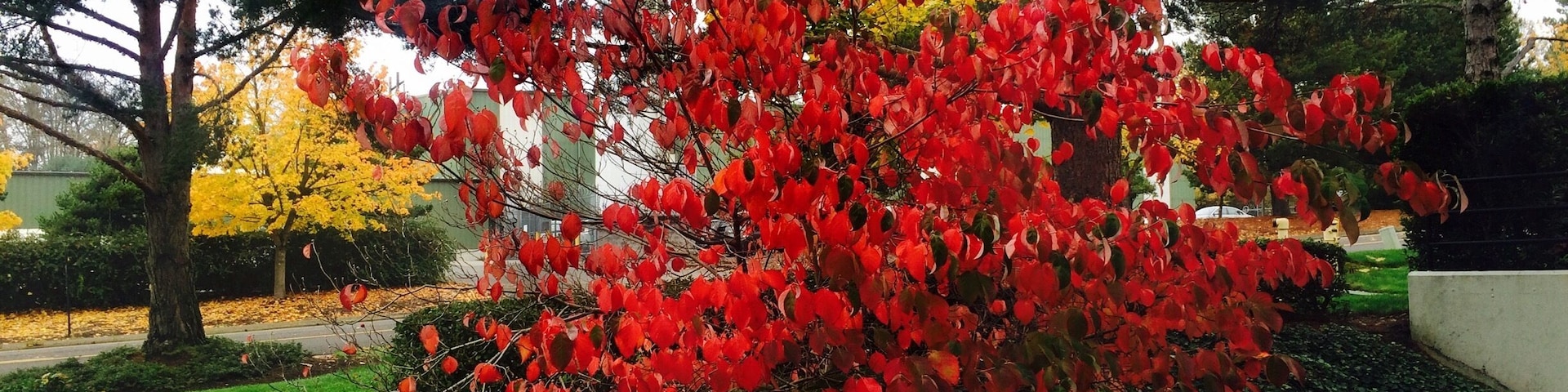 Outside corporate headquarters a couple of weeks ago.