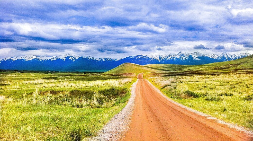 The most peaceful road ever.