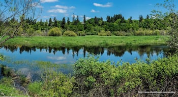 Oh boy, do we complain about the rain up here
