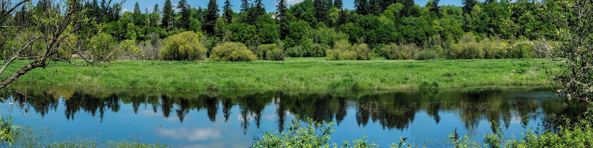 Oh boy, do we complain about the rain up here (guilty!).  But when the clouds clear off, we remember why we need it.  Without even trying hard, I can already see 5 shades of green in this photo. No doubt, there are a few more.