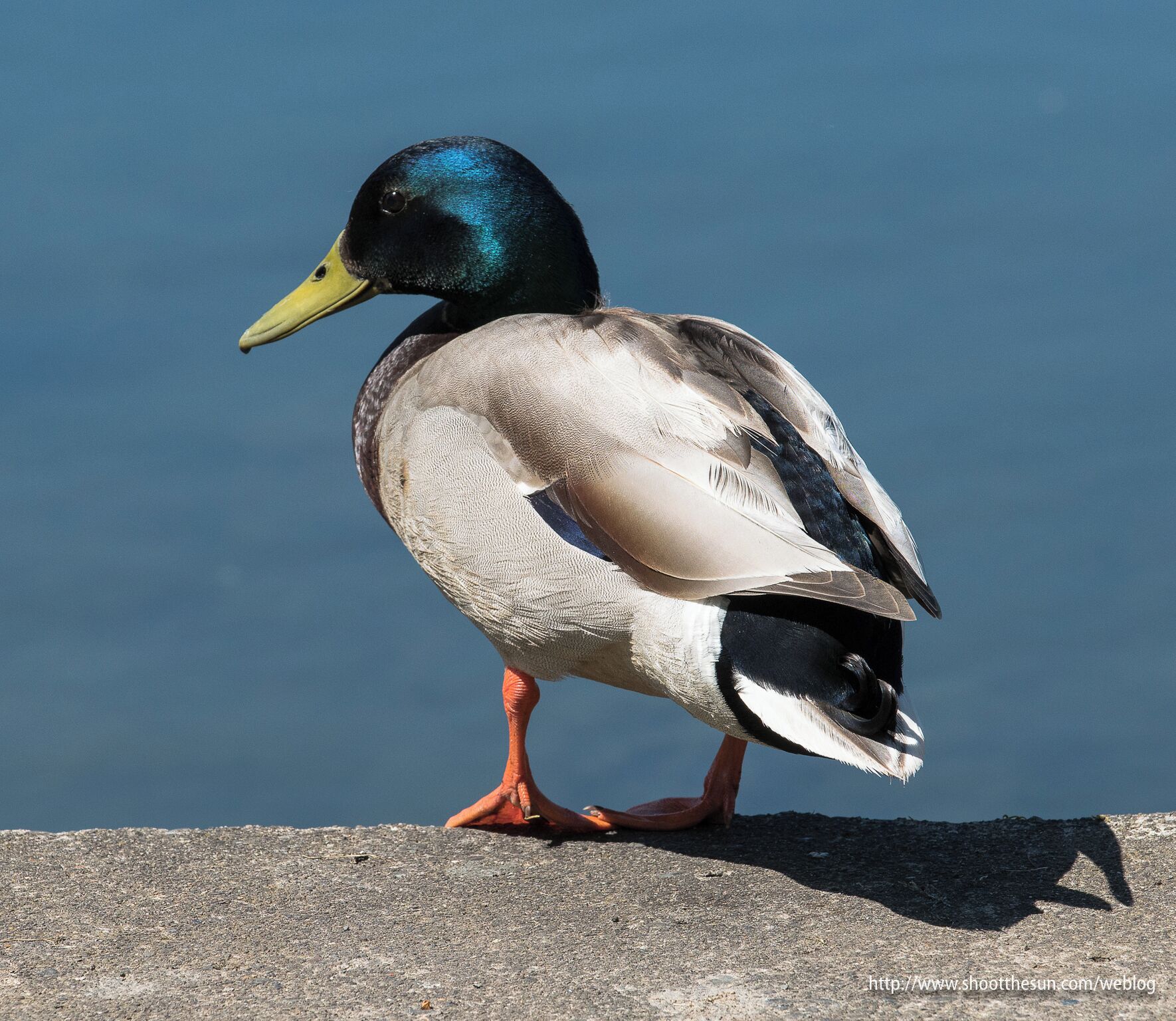 Personal space officially vacated.