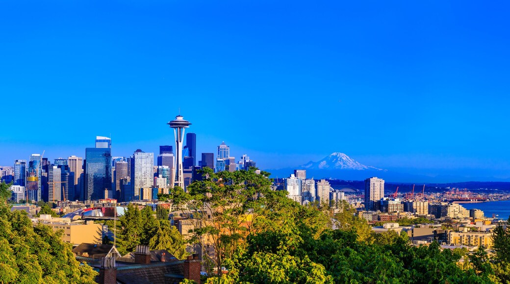 Seattle Hill-Silver Firs