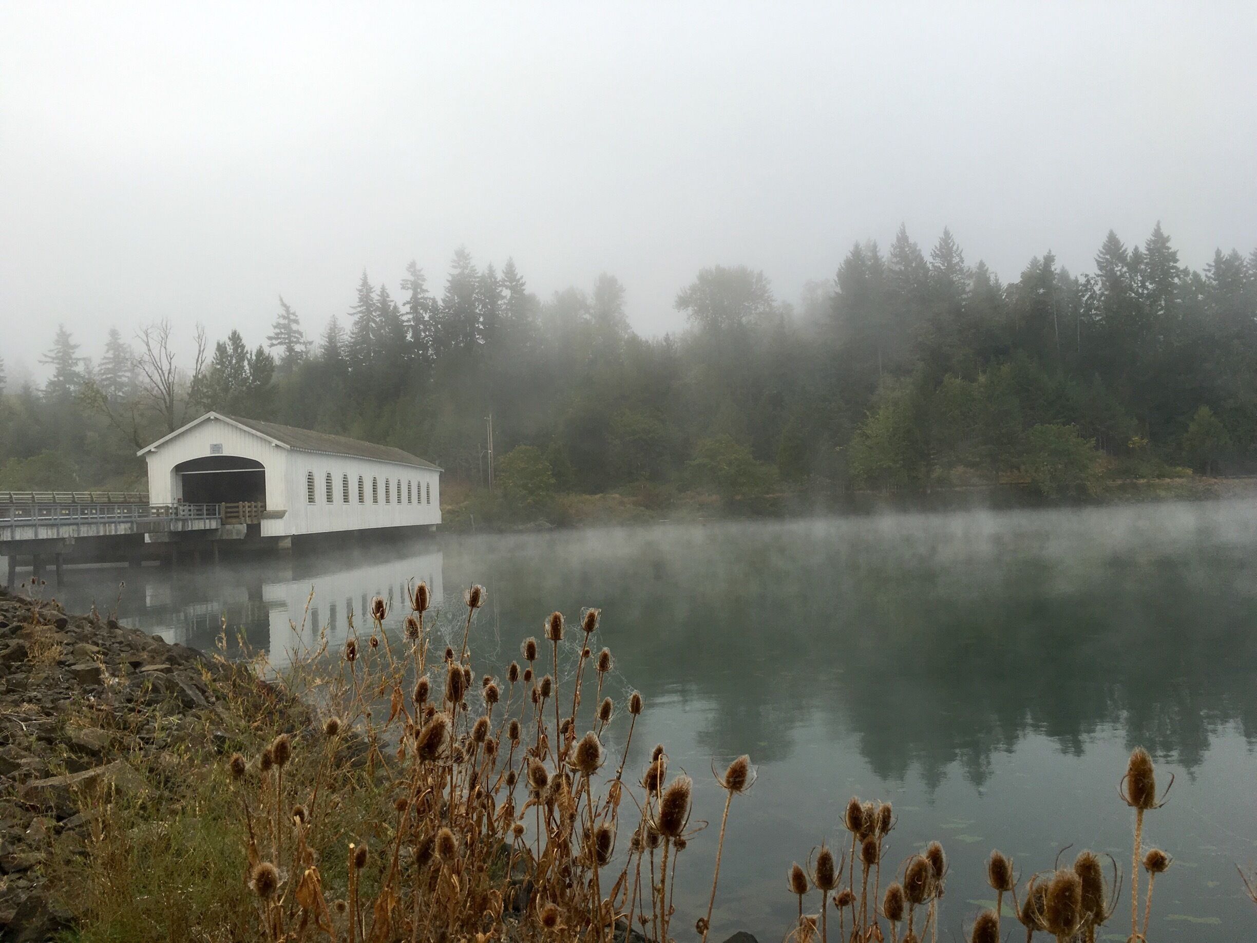 Glad we decided to pull over and stretch here. :) #bridge #roadtrip
