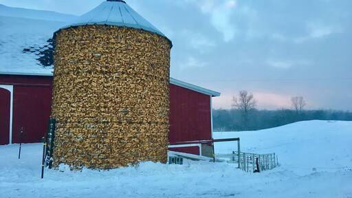 Great working barn on roadside.