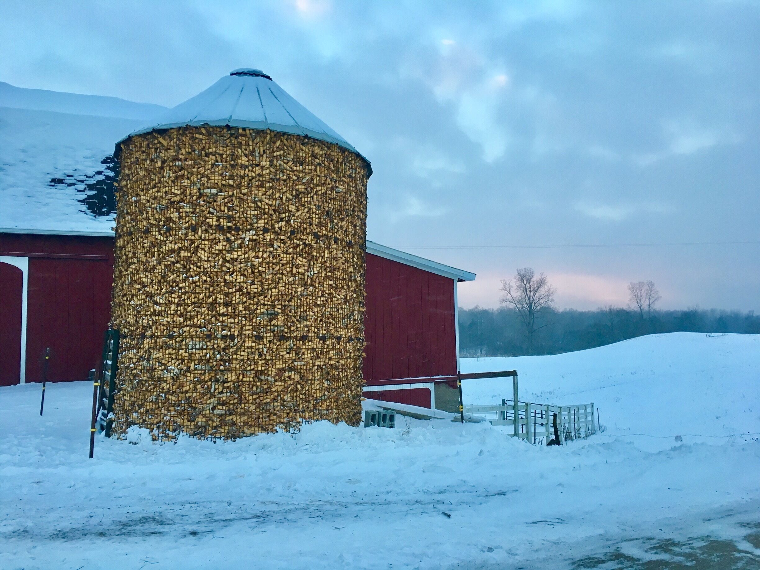 A silo wrapped in hay bales, a red barn, and a snowy landscape.