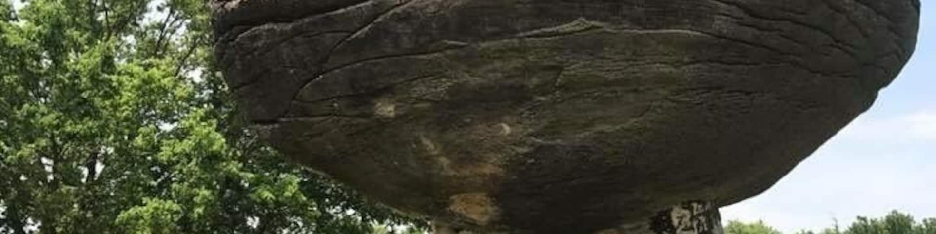 A large rock formation balanced on a tree stump in a grassy area with trees in the background.