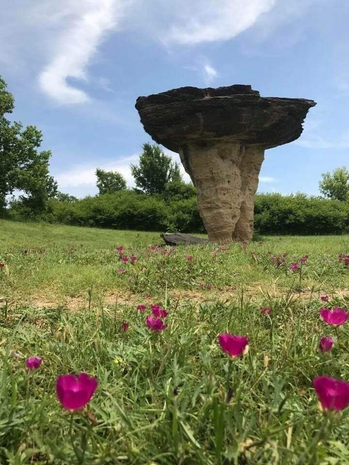 Crazy, unexpected find in the middle of Kansas!