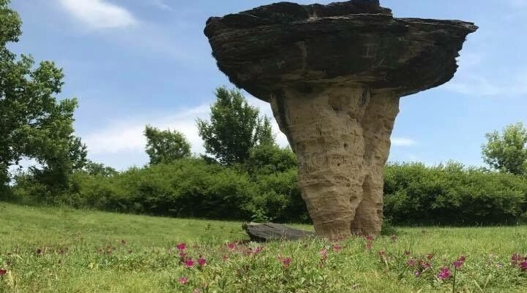 Crazy, unexpected find in the middle of Kansas!