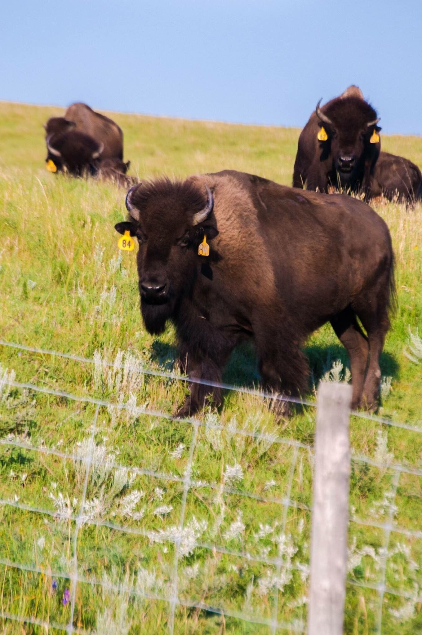 Everyone needs to go visit here. This place is so wild!