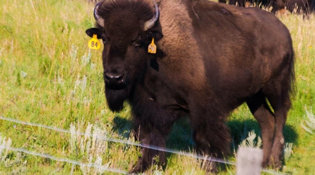 Everyone needs to go visit here. This place is so wild!