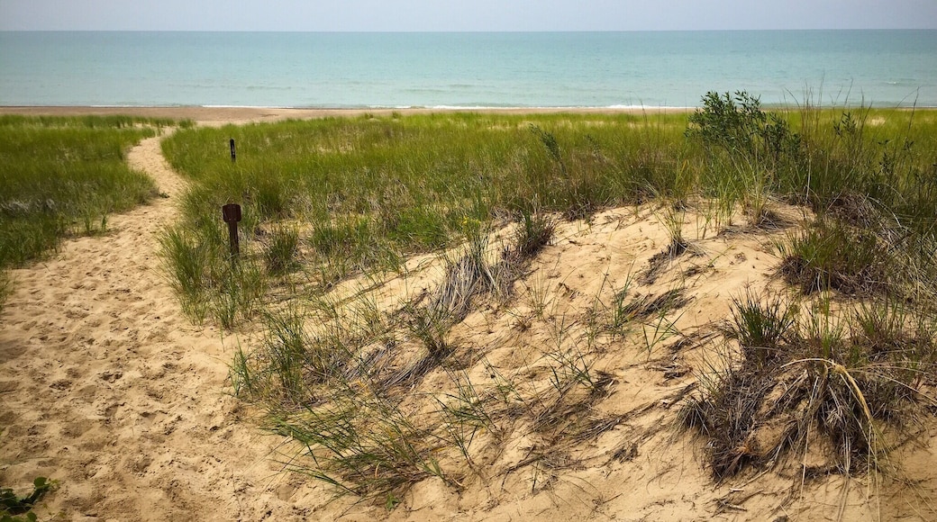 Sometimes I love what I see in Indiana