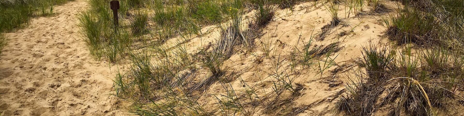 Sometimes I love what I see in Indiana