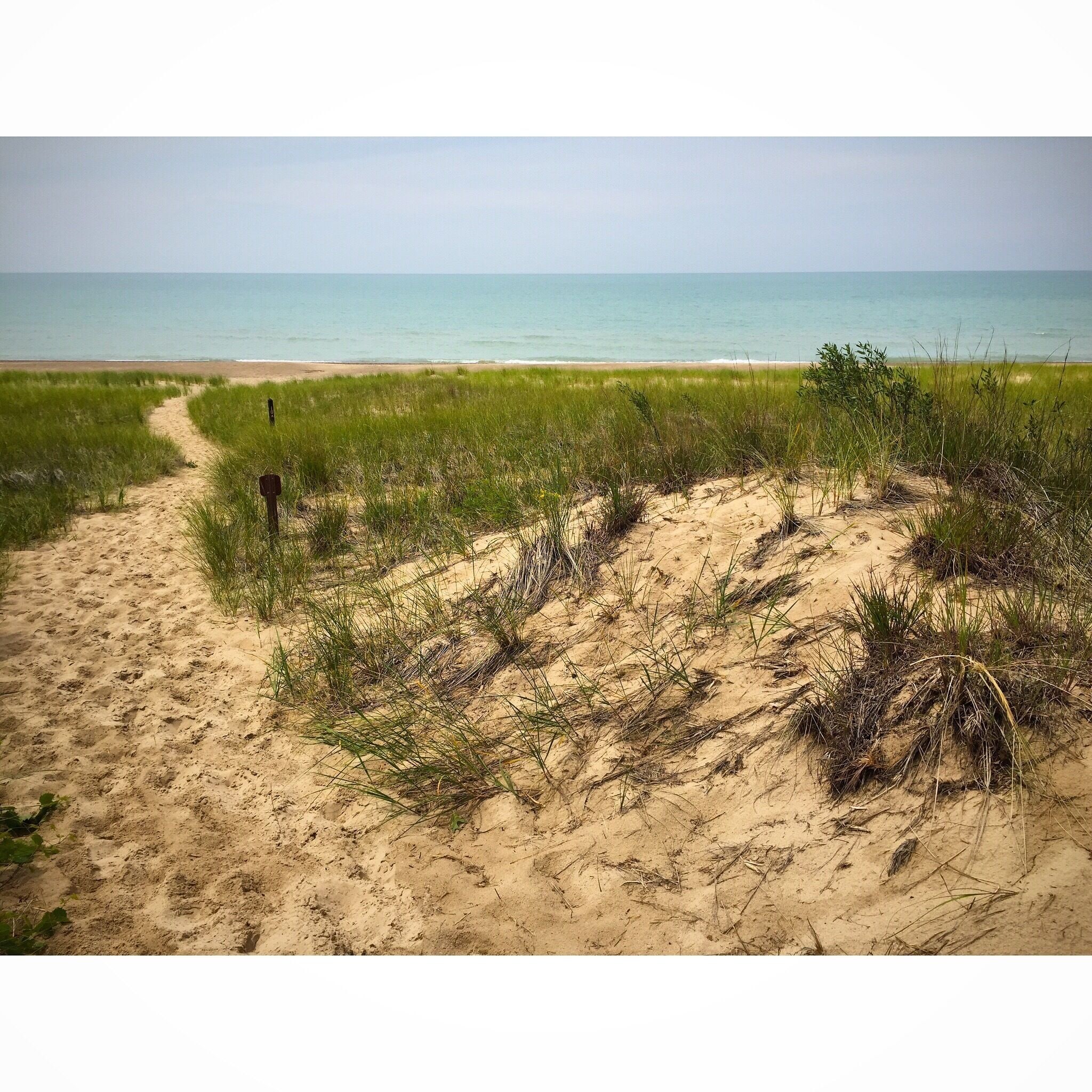 A sandy beach with a grassy path leading to the ocean.