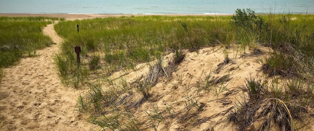A sandy beach with a grassy path leading to the ocean.