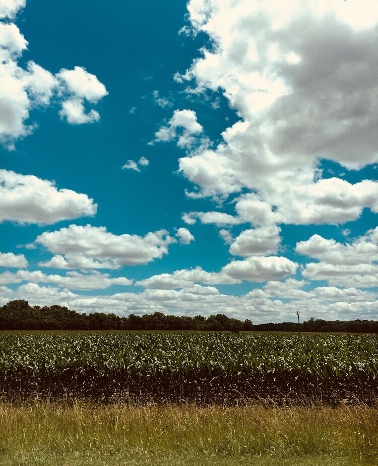 Some call it middle of nowhere, I call it home ❤️