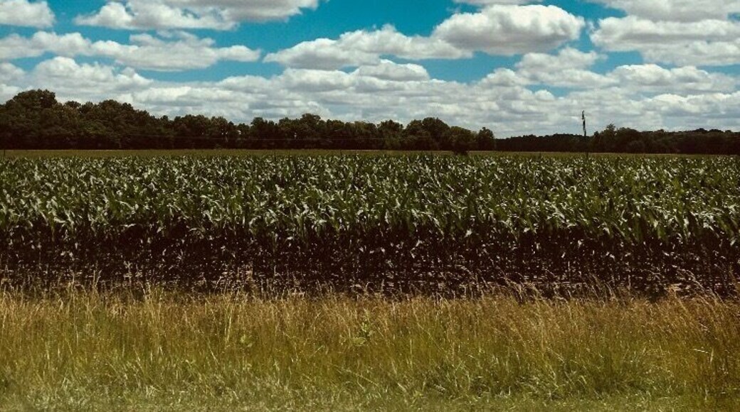 Some call it middle of nowhere, I call it home ❤️