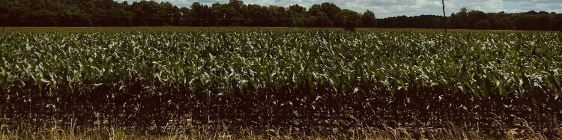 Some call it middle of nowhere, I call it home ❤️