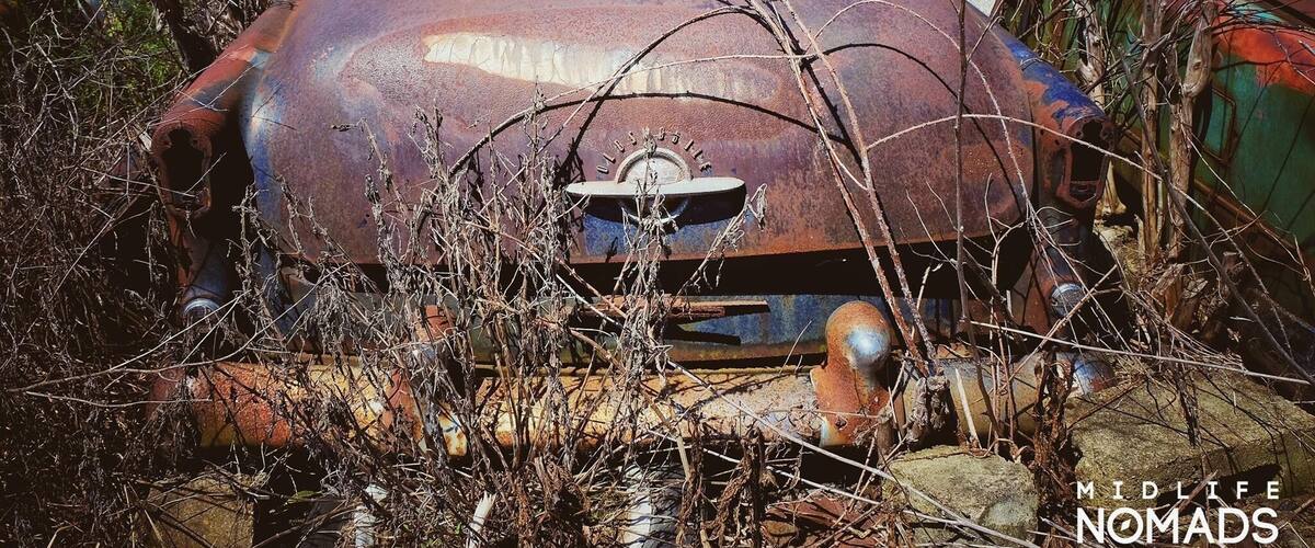 A rusted vintage car surrounded by overgrown vegetation.