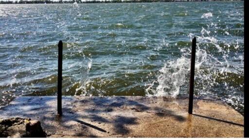 Miles of bike trails and hiking trails through thick woods. Also contains a great beach for swimming.