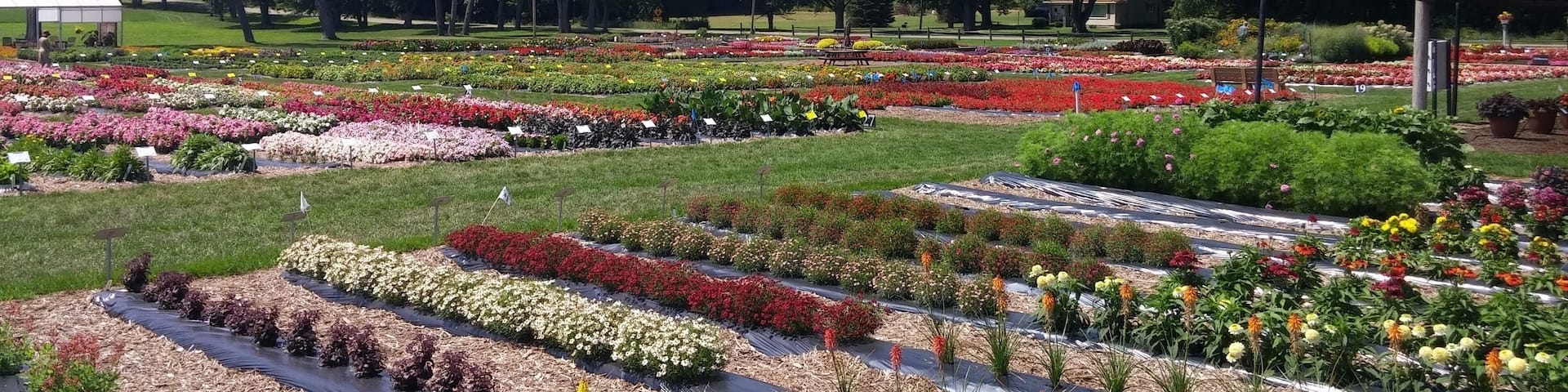 The trial gardens at Raker's is bed after bed after bed of flowers for you to traverse, photograph or otherwise enjoy as you see fit.
Hours of fun for flower nerds.