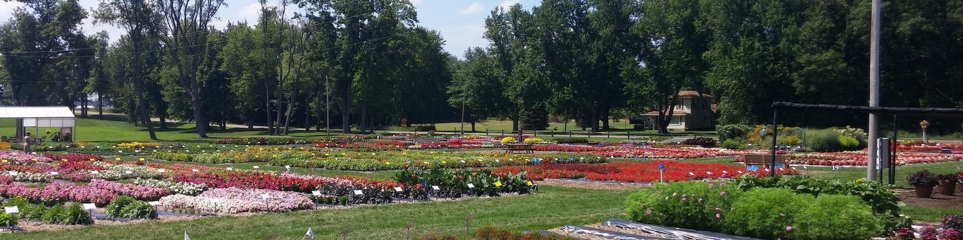 The trial gardens at Raker's is bed after bed after bed of flowers for you to traverse, photograph or otherwise enjoy as you see fit.
Hours of fun for flower nerds.