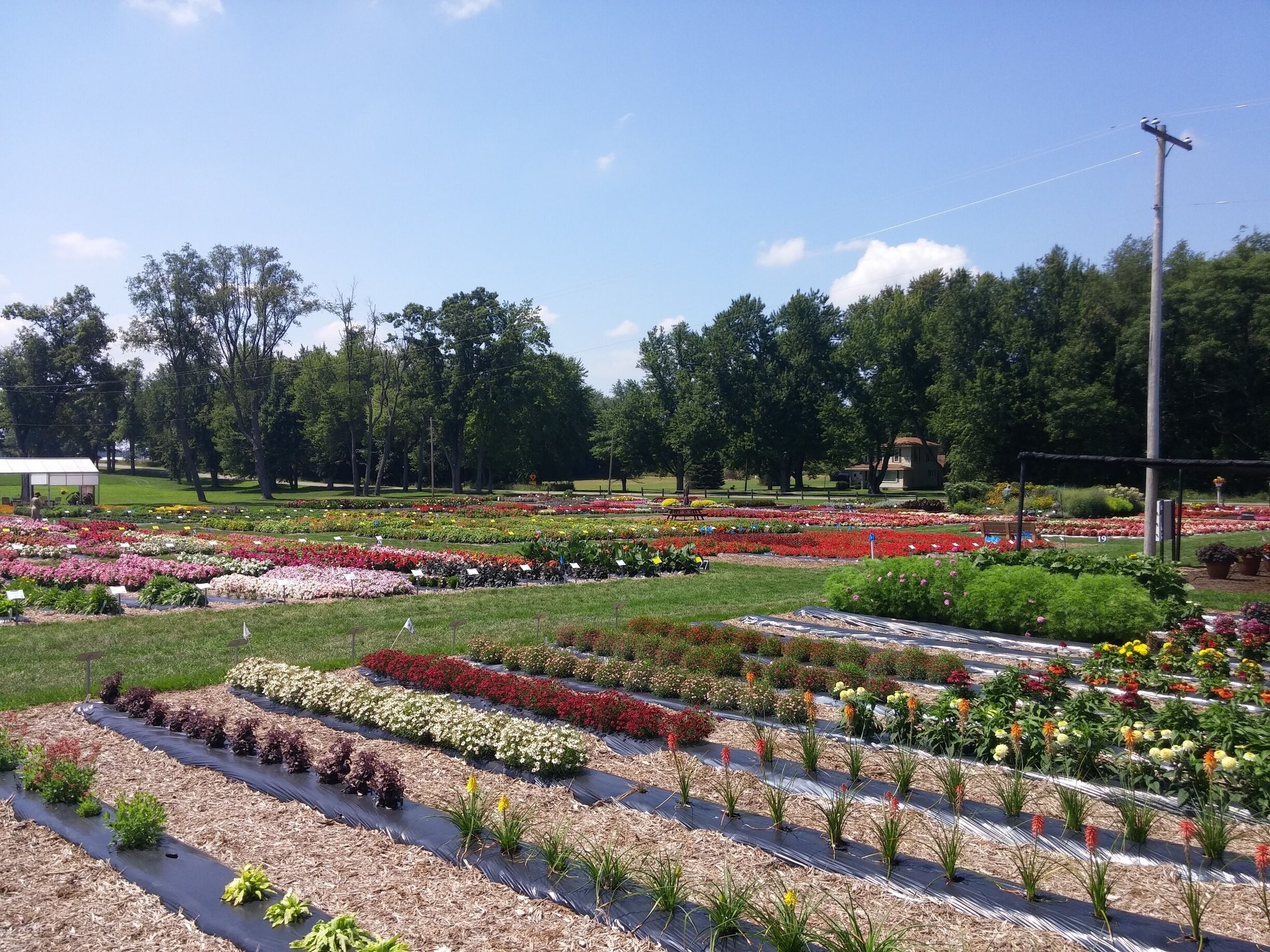A large, well-maintained flower garden with various colorful flower beds and a greenhouse in the background.