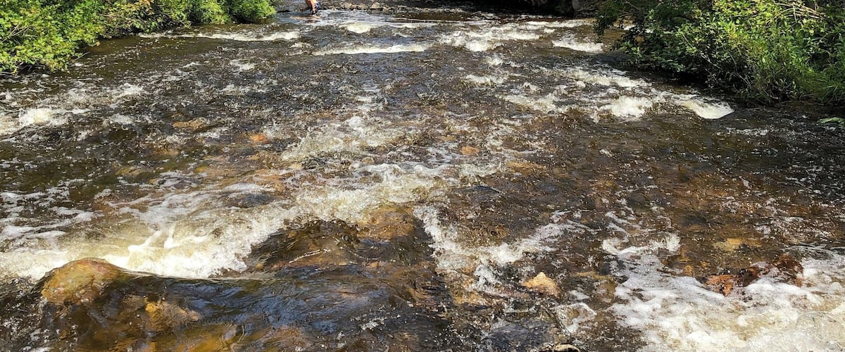 A river flowing through a forest with dense trees and rocky terrain.